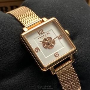 星晴錶業 COACH蔻馳手錶編號:CH00040 白色錶盤玫瑰金錶殼石英機芯簡約 拿這個送給情人再合適不過了💌💗