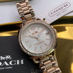 星晴錶業 COACH蔻馳手錶編號:CH00093 白色錶盤香檳金錶殼石英機芯簡約,中三針顯示 當季最新款式!!!追上最新潮流吧🏃🏃🏃🏃🏃
