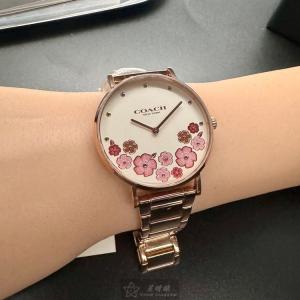 星晴錶業 COACH蔻馳手錶編號:CH00202 白色錶盤玫瑰金錶殼石英機芯中二針顯示,山茶花 這種設計概念，是今年最新的唷🆕👍︎👍︎👍︎