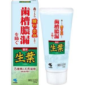 【小林製藥】日本生葉護牙齦牙膏-100g