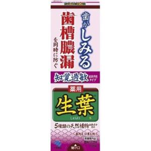 【小林製藥 】日本 生葉 護齦牙膏-100g