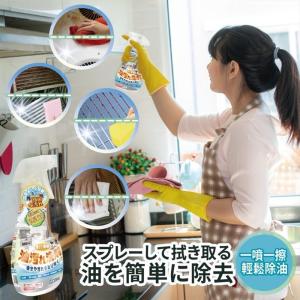 FYM 日本廚房油污清潔劑400ml 2入組 多效清潔...